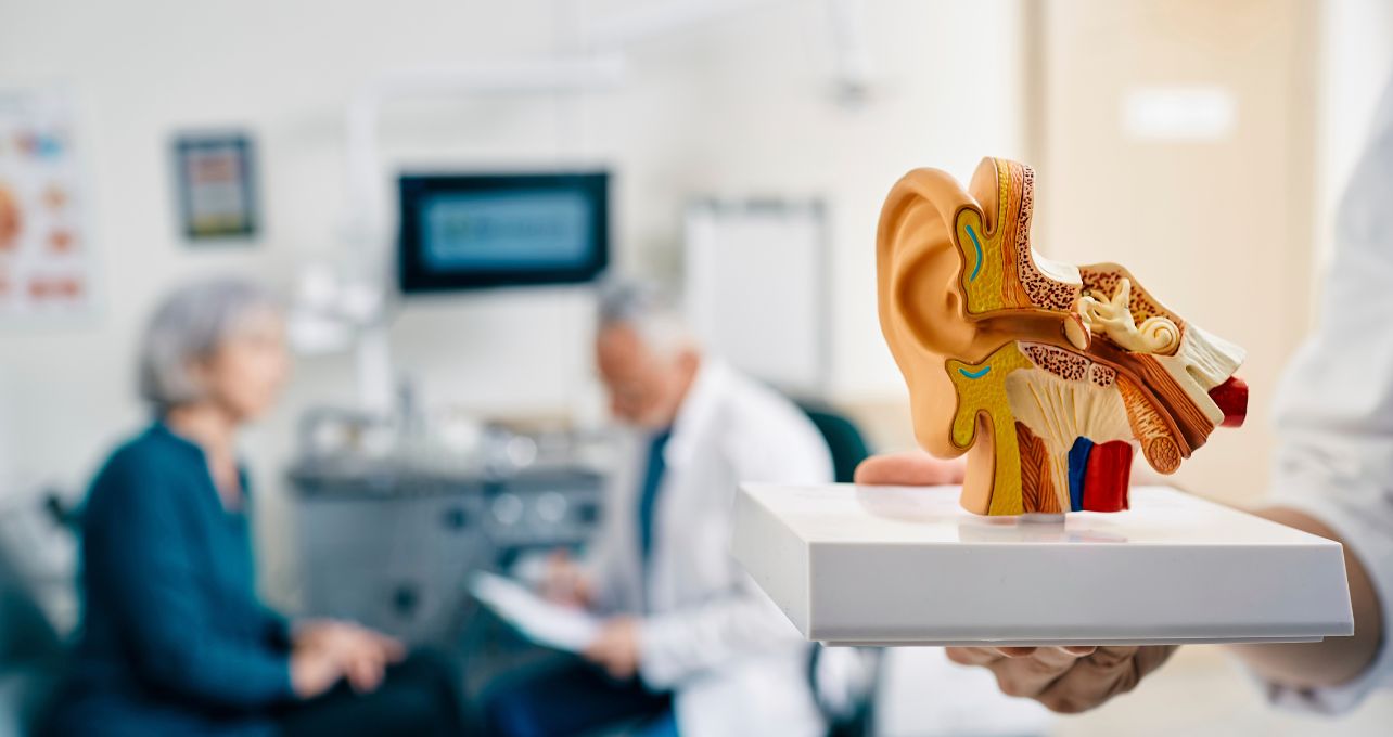 licencias para pase en chia